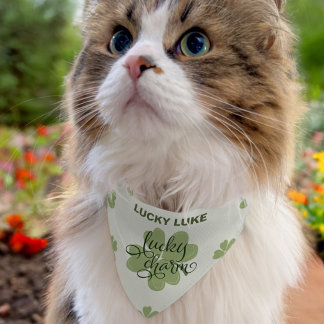Shamrock Lucky Charm Pet Bandana Collar
