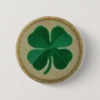 shamrock pin