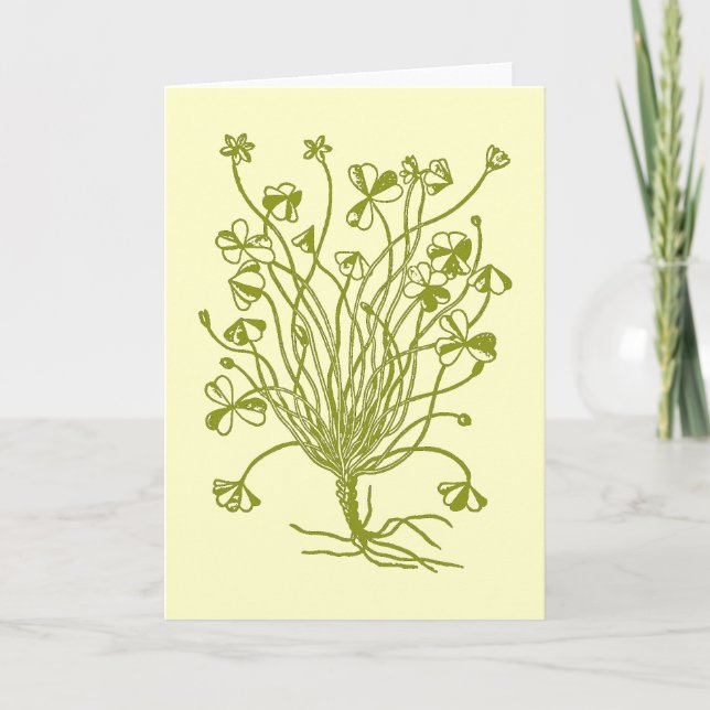 Shamrock Plant Card (Front)