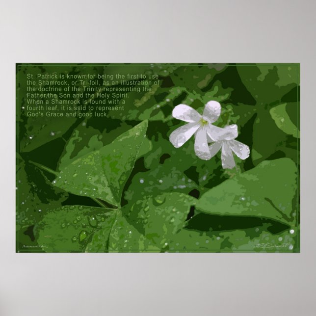 Shamrock Poster with Text -36x24 -or smaller (Front)