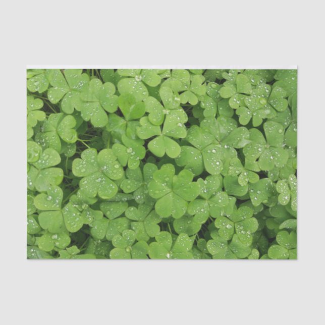 Shamrock tissue paper green nature (Front)
