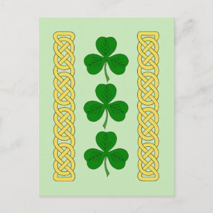 Shamrock Trio and Knotwork Bands Postcard
