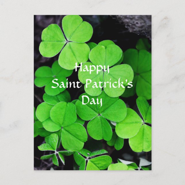 Shamrocks, Happy Saint Patrick's Day Postcard (Front)