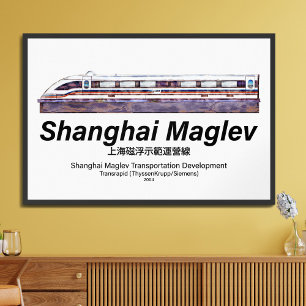 Shanghai Maglev High-Speed SMT Transrapid Train Framed Art