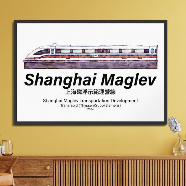 Shanghai Maglev High-Speed SMT Transrapid Train Framed Art (Creator Uploaded)