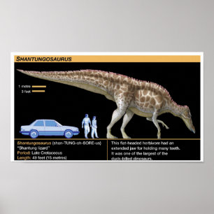 Shantungosaurus - Biology Jurassic Poster