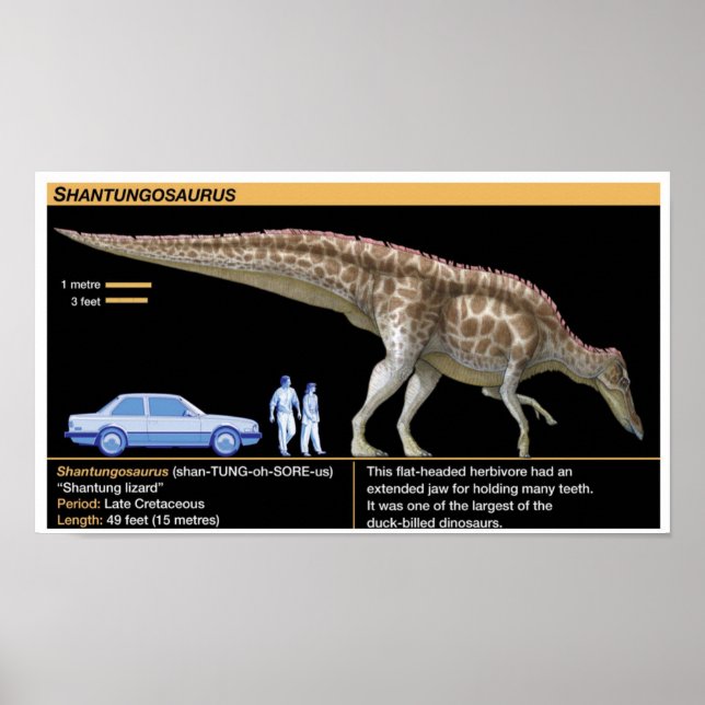 Shantungosaurus - Biology Jurassic Poster (Front)