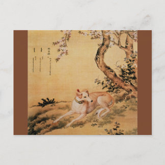 Shanxing Wolf ~睒星狼~Greyhound ~Giuseppe Castiglione Postcard