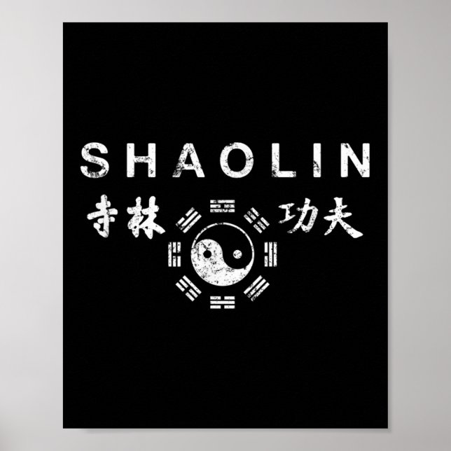 Shaolin Kung Fu Chinese Martial Arts  Poster (Front)