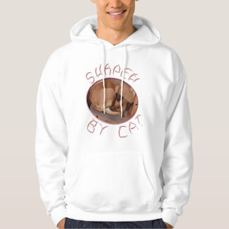Shaped by cats hoodie