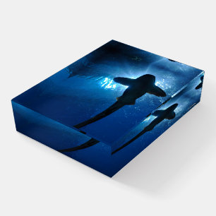 Shar Image Paper Weight- HAMbyWG Paperweight
