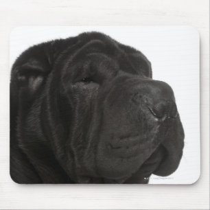 Shar Pei (1 year old) close-up Mouse Pad