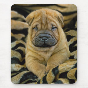 Shar-Pei 4 week old pup Mousepad