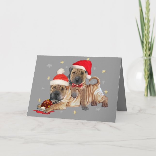 Shar-pei brothers Christmas Cards (Front)