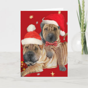 Shar-pei Brothers Christmas Cards