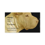 Shar Pei Business Card