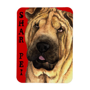 Shar-Pei Color Block Magnet