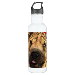 Shar-Pei Color Block Stainless Steel Water Bottle