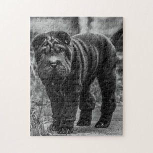 SHAR PEI CUTE DOG JIGSAW PUZZLE