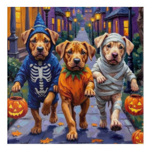 Shar Pei Dogs Trick-or-Treating Halloween Costumes Acrylic Print