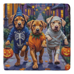 Shar Pei Dogs Trick-or-Treating Halloween Costumes Trivet