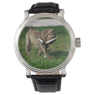 shar pei full 3 watch
