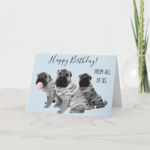 Shar Pei Happy Birthday From All of Us Puppy Card