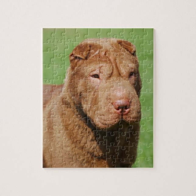 Shar Pei Jigsaw Puzzle (Vertical)