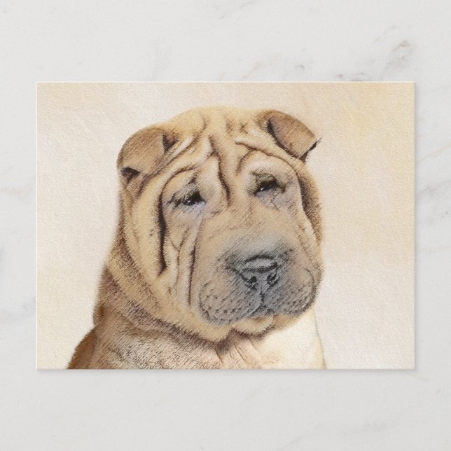 Shar Pei Painting - Cute Original Dog Art Postcard (Front)