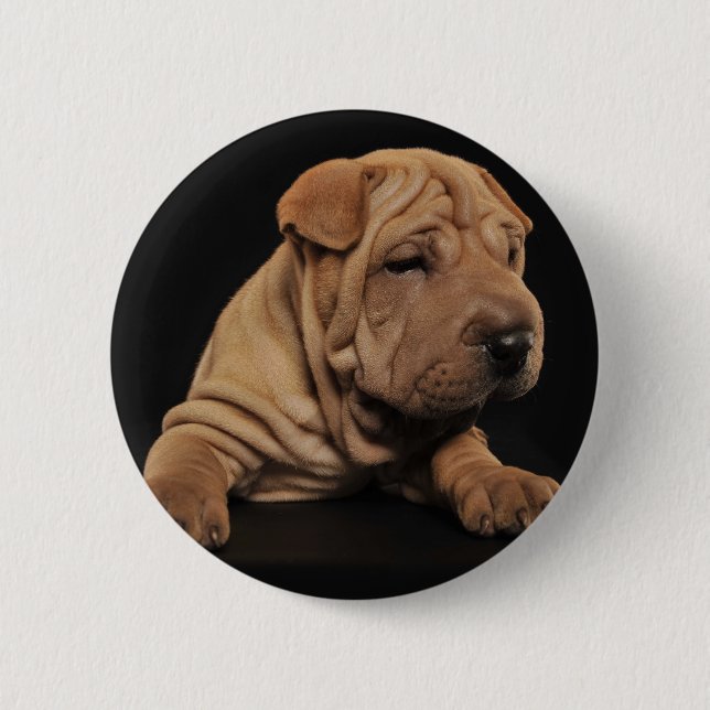 Shar Pei puppy Button (Front)