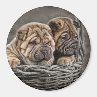 Shar-Pei Pups in Basket Magnet