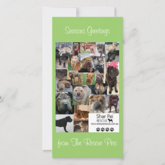 Shar Pei Rescue Xmas Card