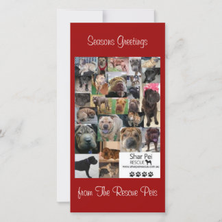Shar Pei Rescue Xmas Card