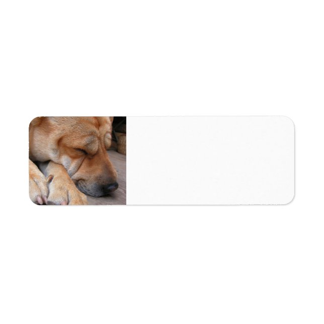 shar pei sleeping.png label (Front)