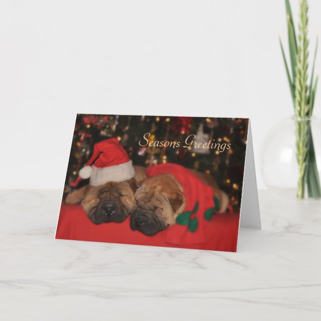Shar Pei Sleepy Christmas card (Front)