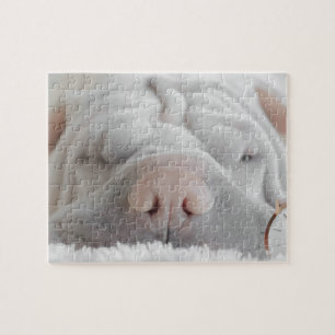 SHAR PEI SLEEPY DOG CLOSEUP PUZZLE