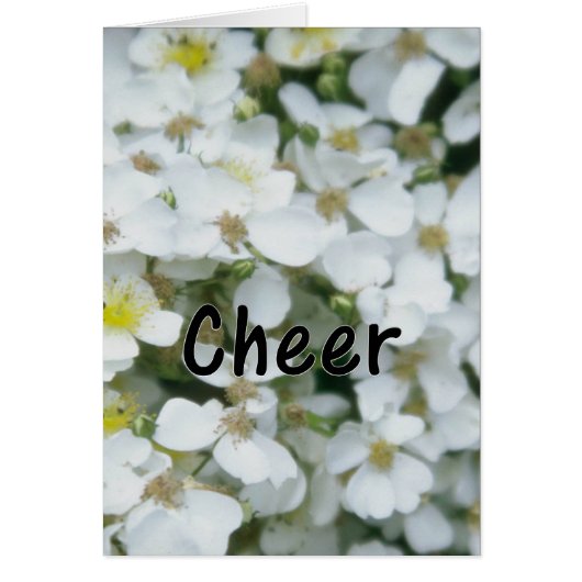 Share Cheer with Others Cards (Front)