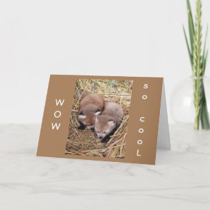 SHARING A "BIRTHDAY" WITH "YOU" IS "SO COOL" CARD