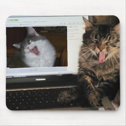 Sharing a laugh on video Zoom mouse pad