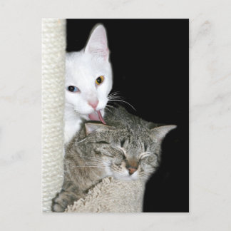 Sharing quality time postcard