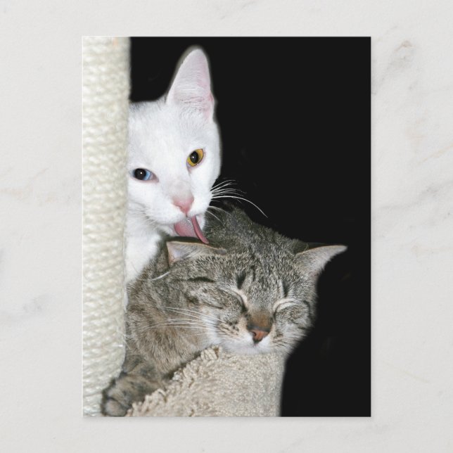 Sharing quality time postcard (Front)