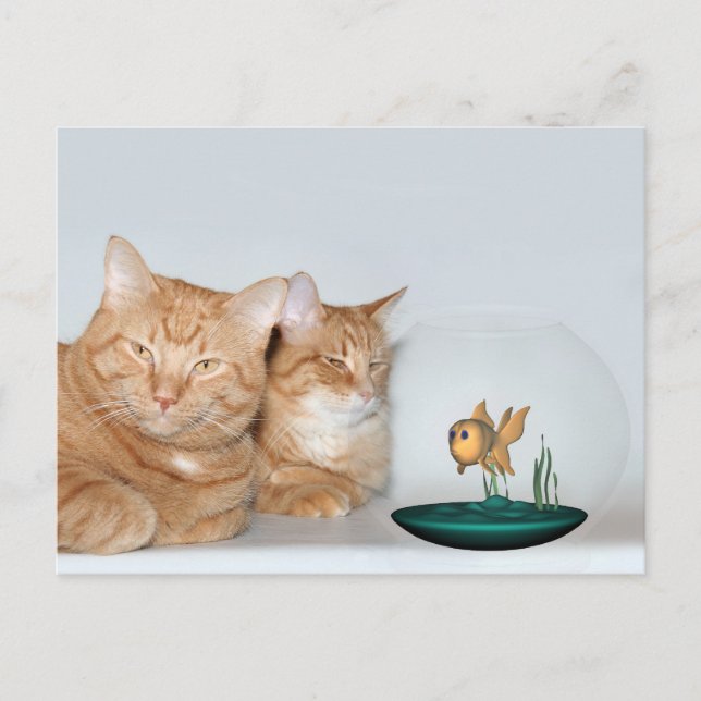 Sharing quality time postcard (Front)