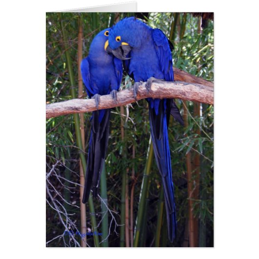 Sharing Secrets (Front)