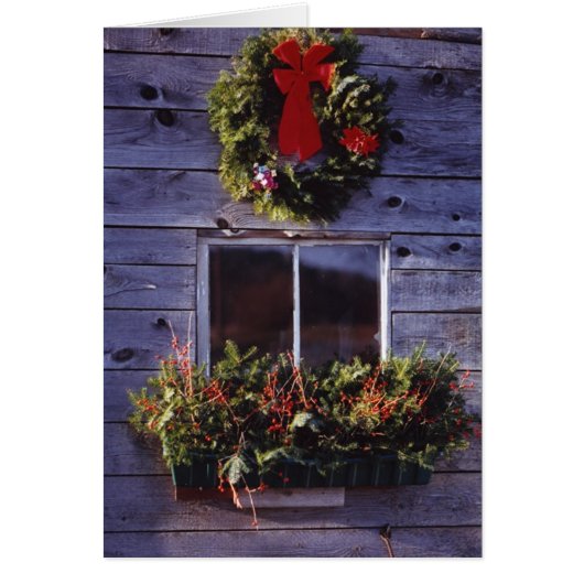 Sharing the Joy...... (Front)