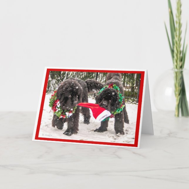 Sharing the season the Newfie Way! Holiday Card (Front)