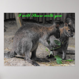 Sharing Wallabies Poster