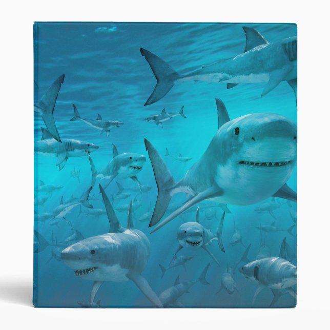 shark 3 ring binder (Front)
