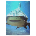 shark-5.jpg post-it notes