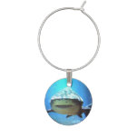 shark-5.jpg wine charm