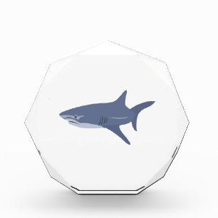 Shark Acrylic Award